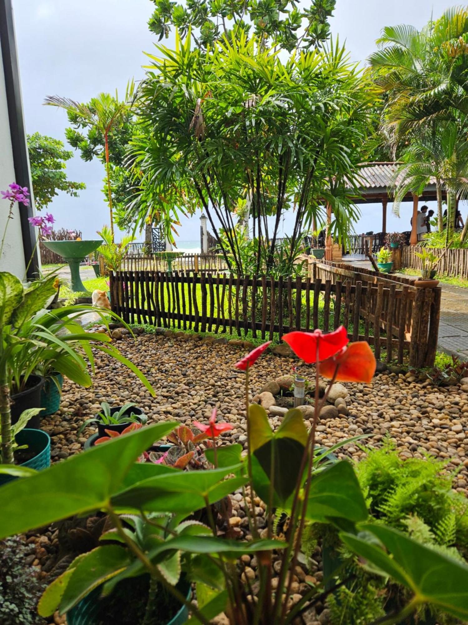 Balance Beach Resort ディックウェラ エクステリア 写真