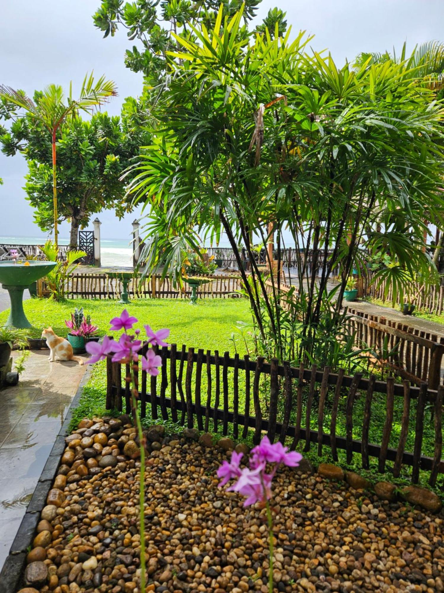 Balance Beach Resort ディックウェラ エクステリア 写真