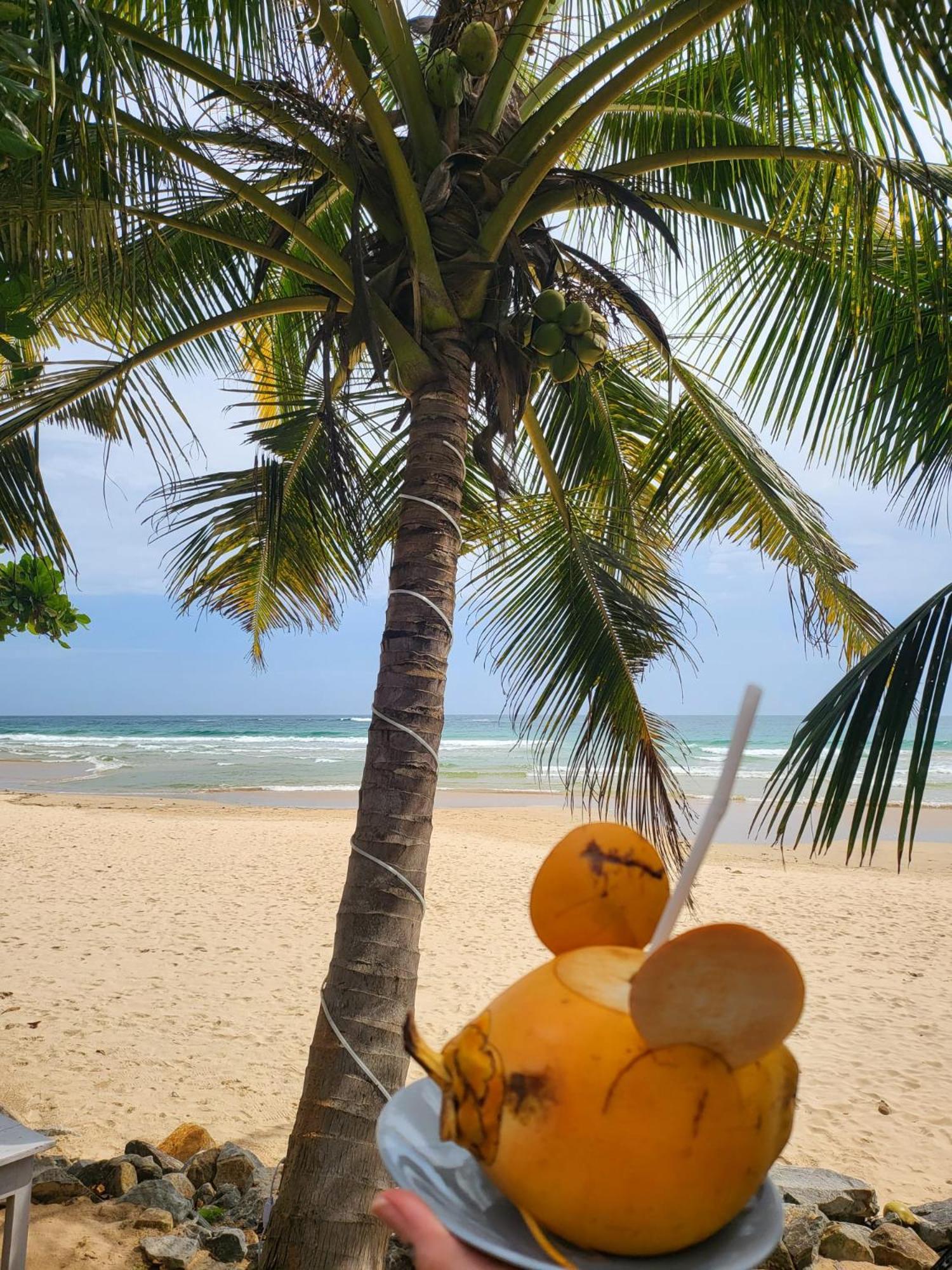 Balance Beach Resort ディックウェラ エクステリア 写真