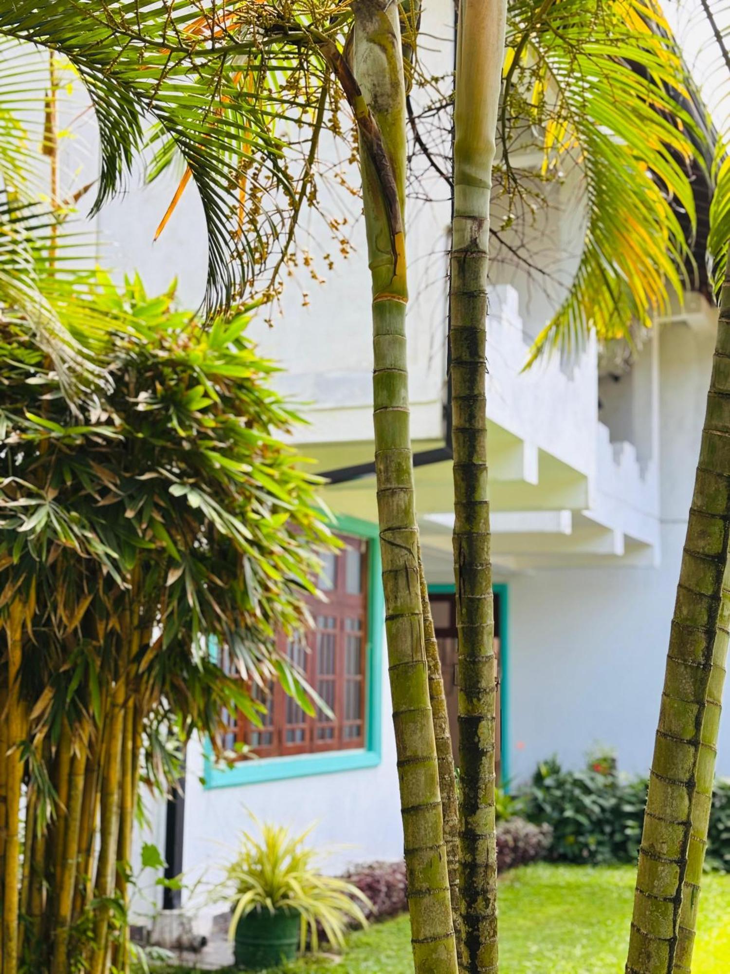 Balance Beach Resort ディックウェラ エクステリア 写真