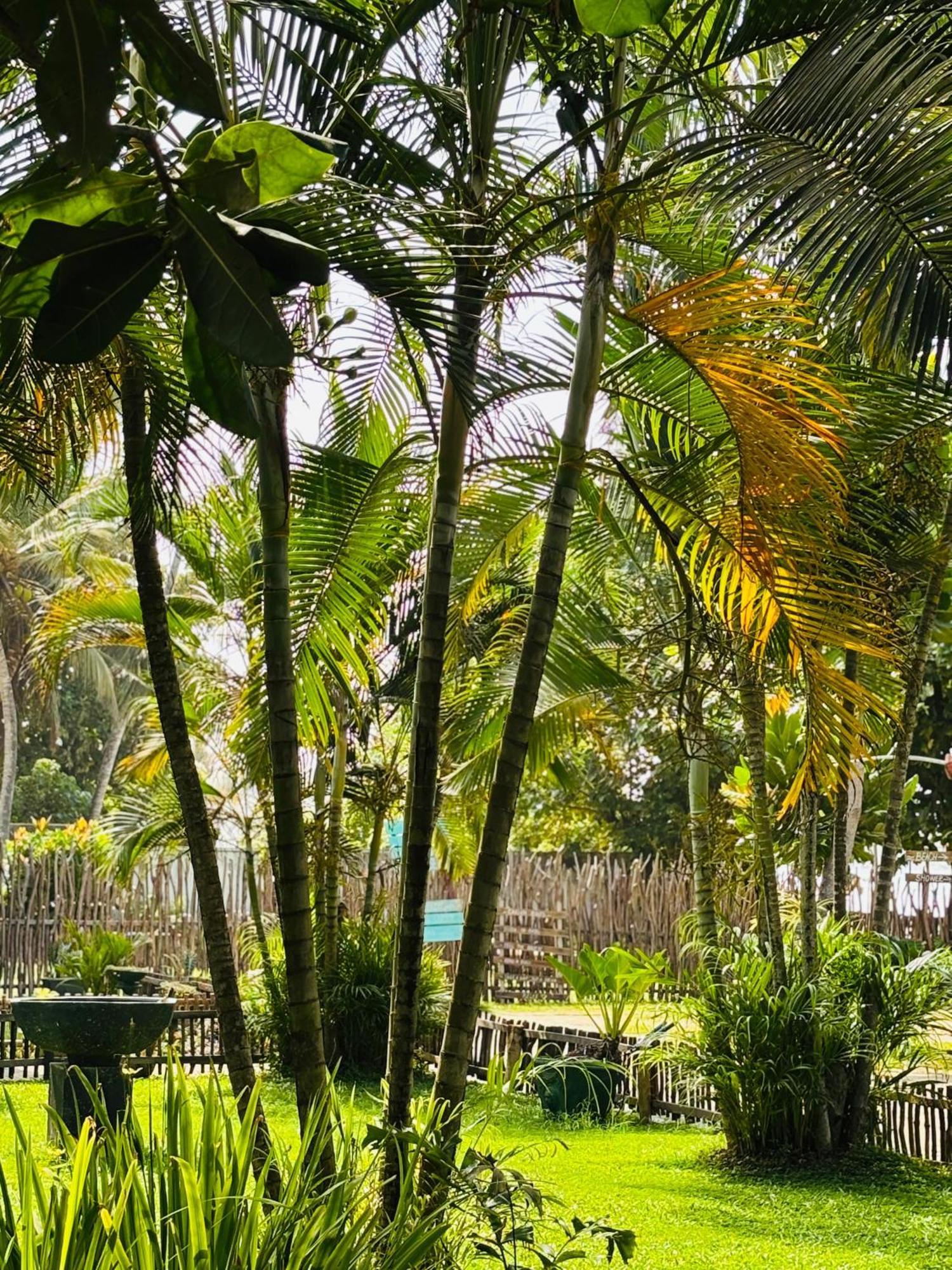 Balance Beach Resort ディックウェラ エクステリア 写真