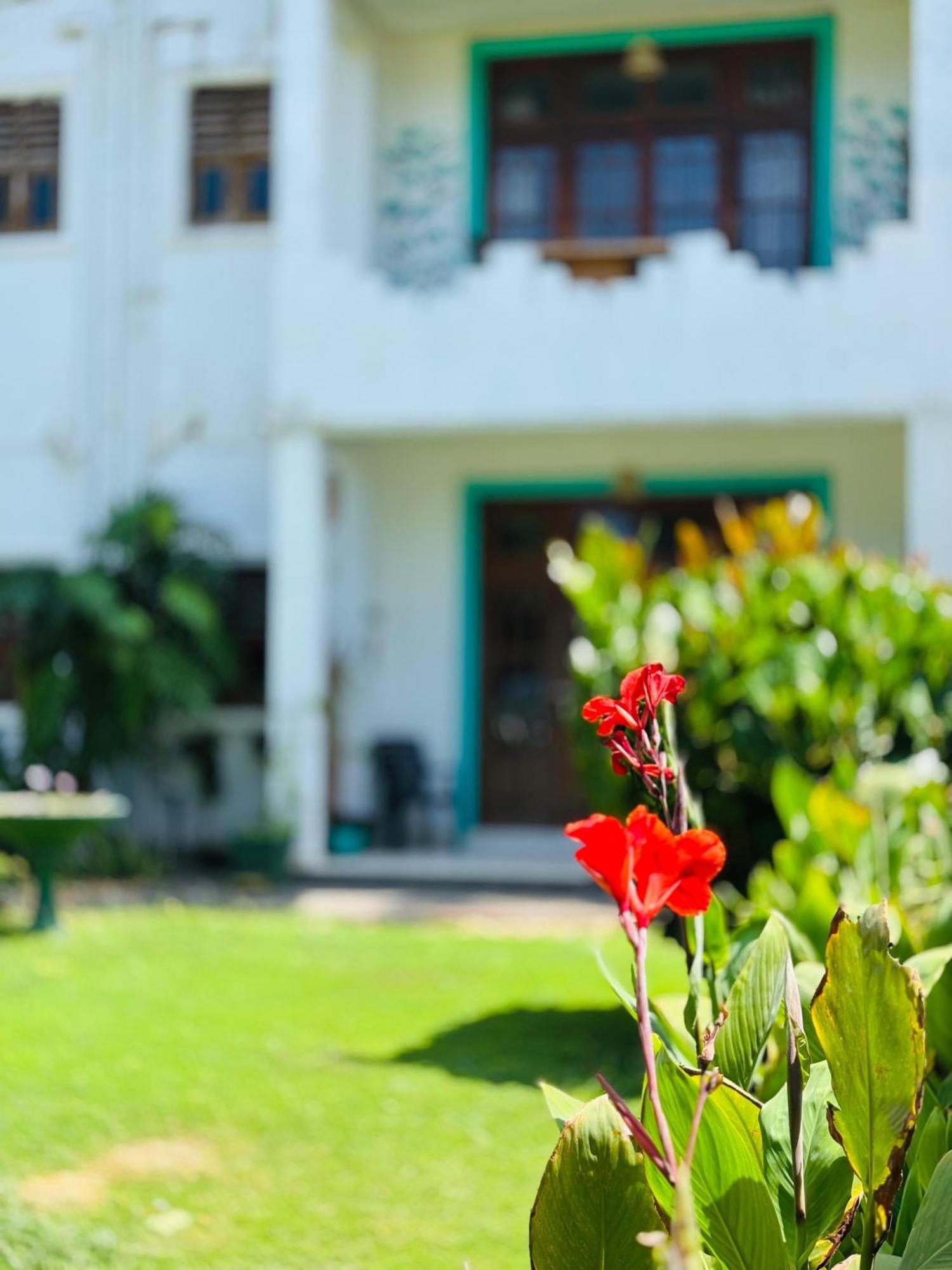 Balance Beach Resort ディックウェラ エクステリア 写真